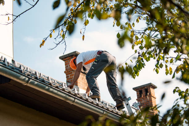 Best Roof Gutter Cleaning  in Wolfdale, PA