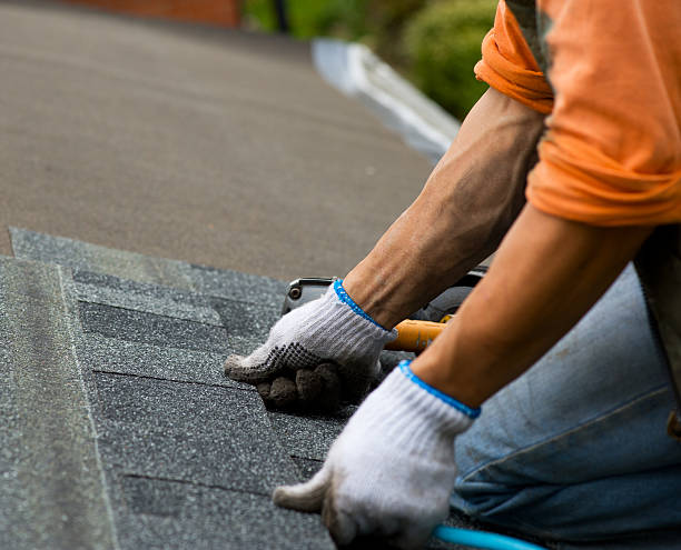 Professional Roofing Contractor in Wolfdale, PA